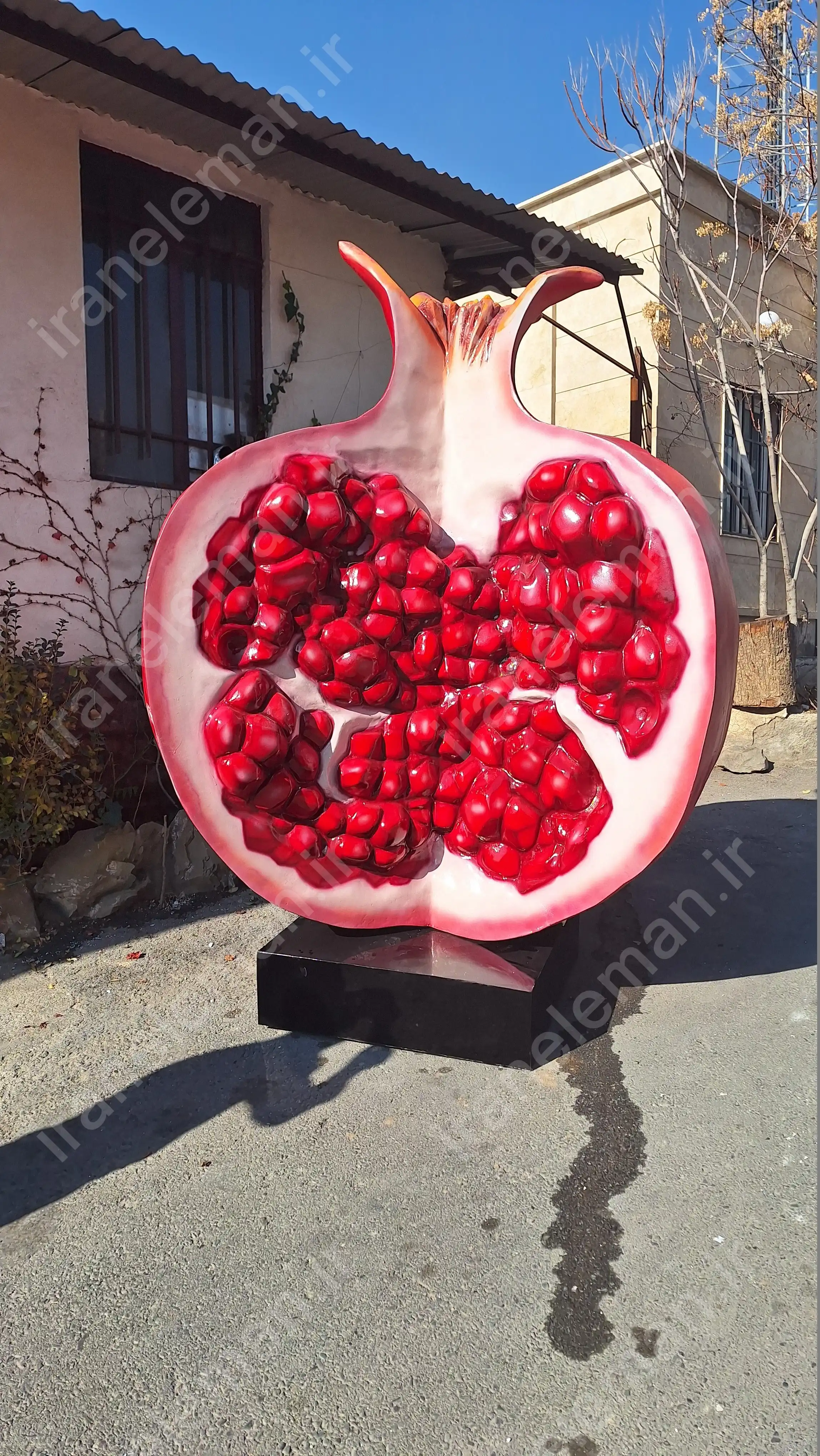 ۲۰۲۳۱۲۱۷_۱۲۴۷۰۸